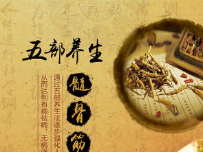 融合中醫養生文化，打造專業展板設計——高清PSD模板助力企業健康服務推廣